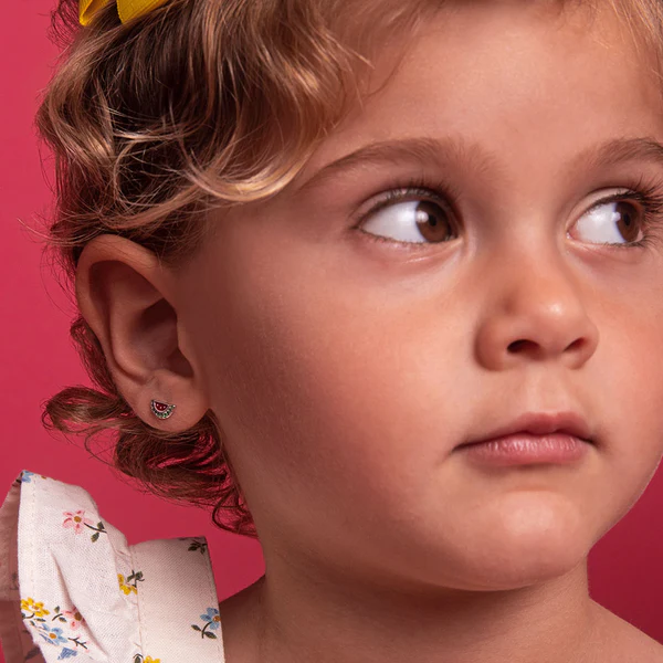 Aretes Sandía – Plata 925